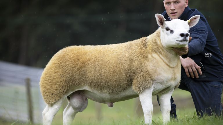 Double Diamond&#39;s starting price was £10,000