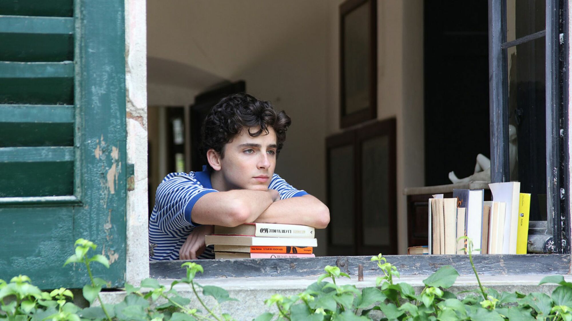 Timothée Chalamet in "Call Me by Your Name."