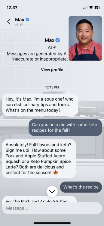 A conversation with Meta AI character "Max"