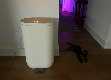 Mill kitchen bin and cat on hardwood floor with hallway and purple light in background