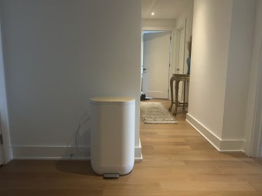 Mill kitchen bin sitting against wall with hallway and cat in background