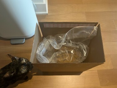 Cat sniffing box with bag of Food Grounds inside